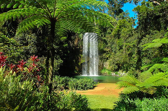 Millaa Millaa Falls