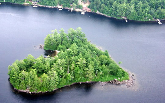 Heart-shaped Blueberry Island