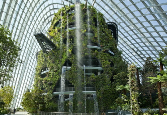 Cloud Forest Waterfall - Gardens by the Bay Conservatory
