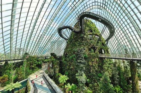 Cloud Forest - Gardens by the Bay Conservatory