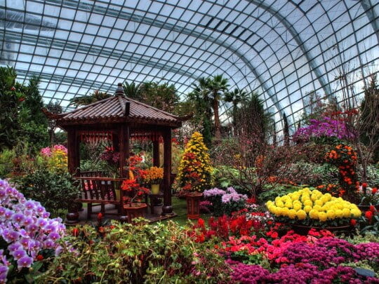 Flower Dome - Gardens by the Bay Conservatory