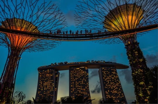 Gardens by the Bay Skywalk at night