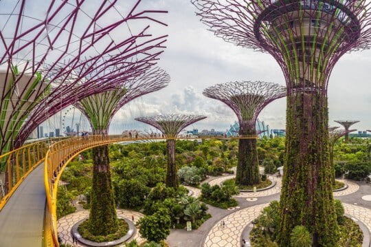 Gardens by the Bay Skywalk