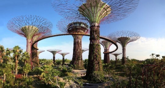 Gardens by the Bay Supertrees