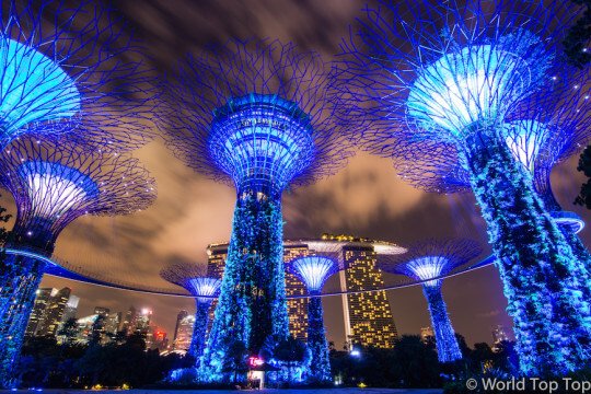 Gardens by the Bay Supertrees at Night