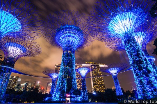 Garden By The Bay Night gardensthe bay – an avatar world in singapore - world top top Garden By The Bay Night gardensthe bay – an avatar world in singapore - world top top