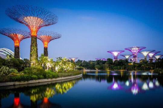 Garden By The Bay Night Garden By The Bay Night